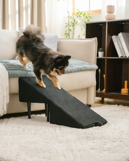 2-in-1 Convertible Dog Ramp and Step Stool in use, lifestyle background