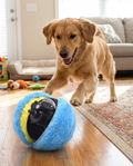 Active Rolling Ball Interactive Dog Toy, 4 Colors in use, lifestyle background