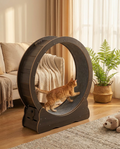 Quiet Indoor Cat Exercise Wheel with Cushioned Track in use, lifestyle background