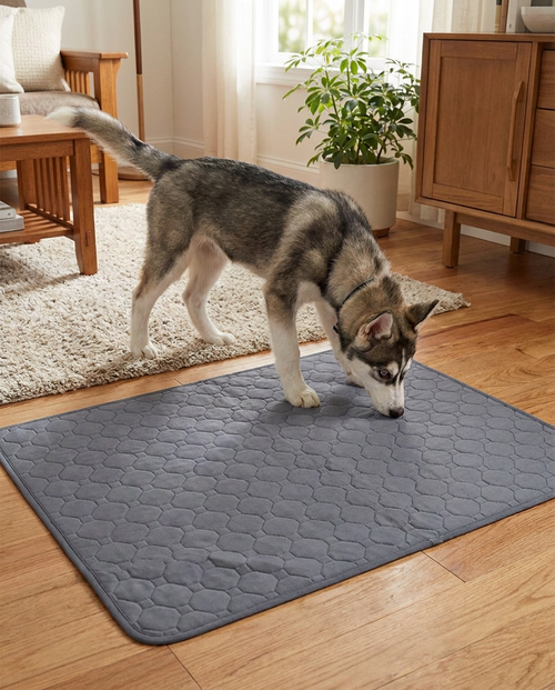 4-Layer Absorbent Dog Pee Pads, Disposable and Reusable in use, lifestyle background