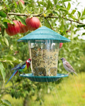 Hanging Bird Feeder with Automatic Seed Dispenser in use, lifestyle background