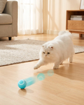 Interactive Self-Rolling Pet Ball for Dogs and Cats in use, lifestyle background