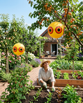 Inflatable Scare Eye Balloon Bird Deterrent in use, lifestyle background