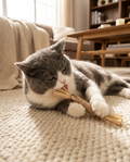 Natural Silvervine Cat Chew Toy Set (3-Piece) in use, lifestyle background