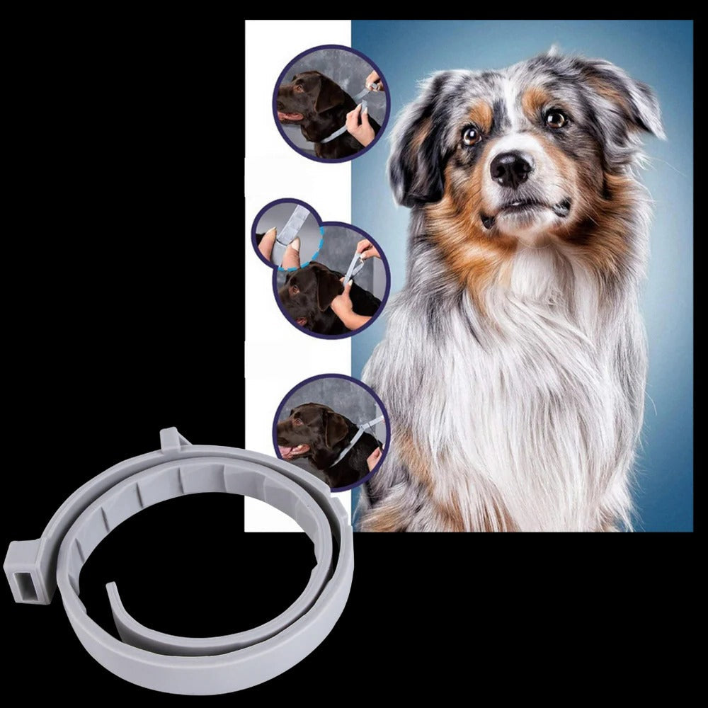 Long-Lasting Parasite Repellent Collar for Dogs & Cats