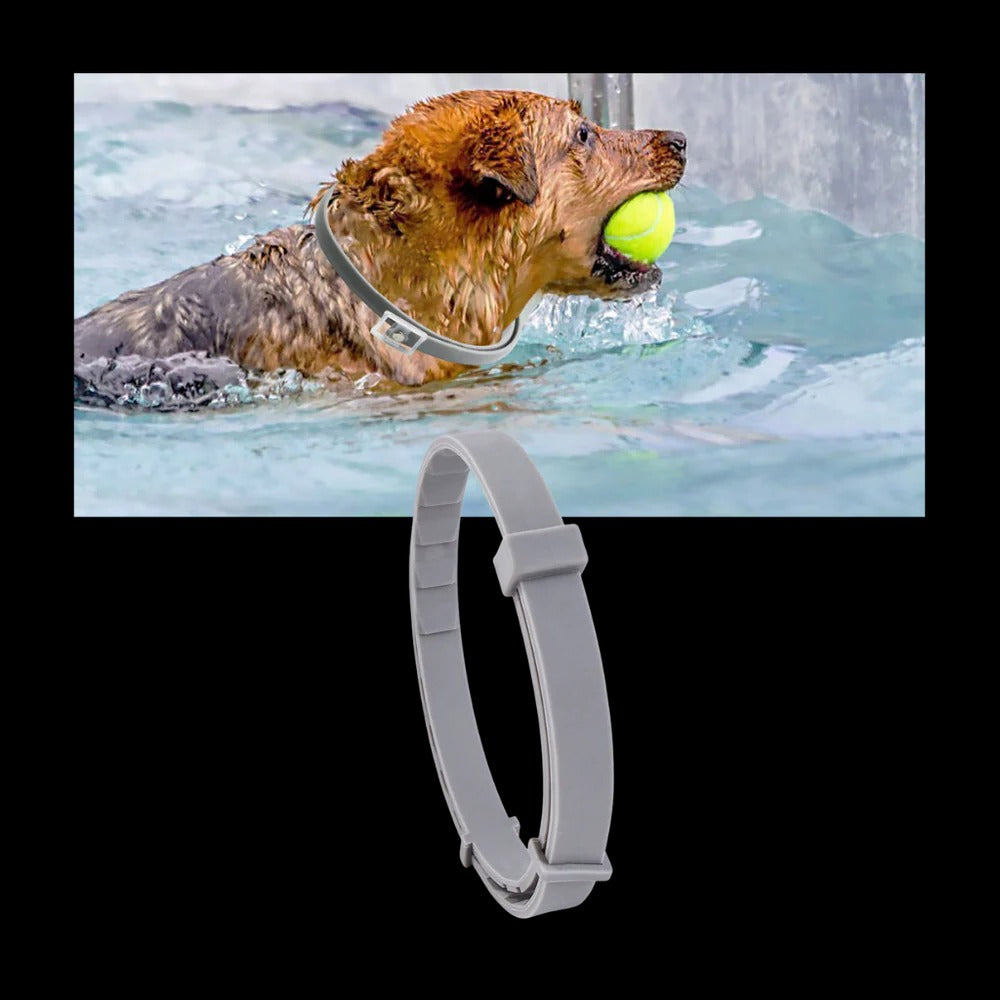 Long-Lasting Parasite Repellent Collar for Dogs & Cats
