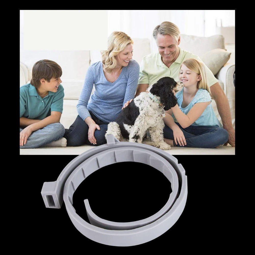 Long-Lasting Parasite Repellent Collar for Dogs & Cats
