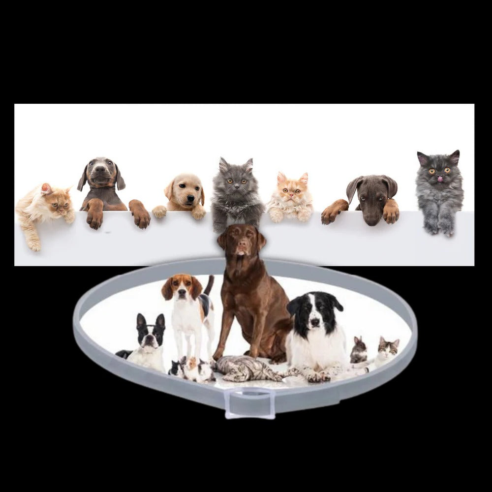 Long-Lasting Parasite Repellent Collar for Dogs & Cats