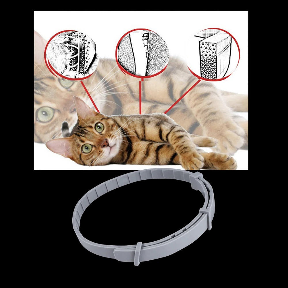 Long-Lasting Parasite Repellent Collar for Dogs & Cats