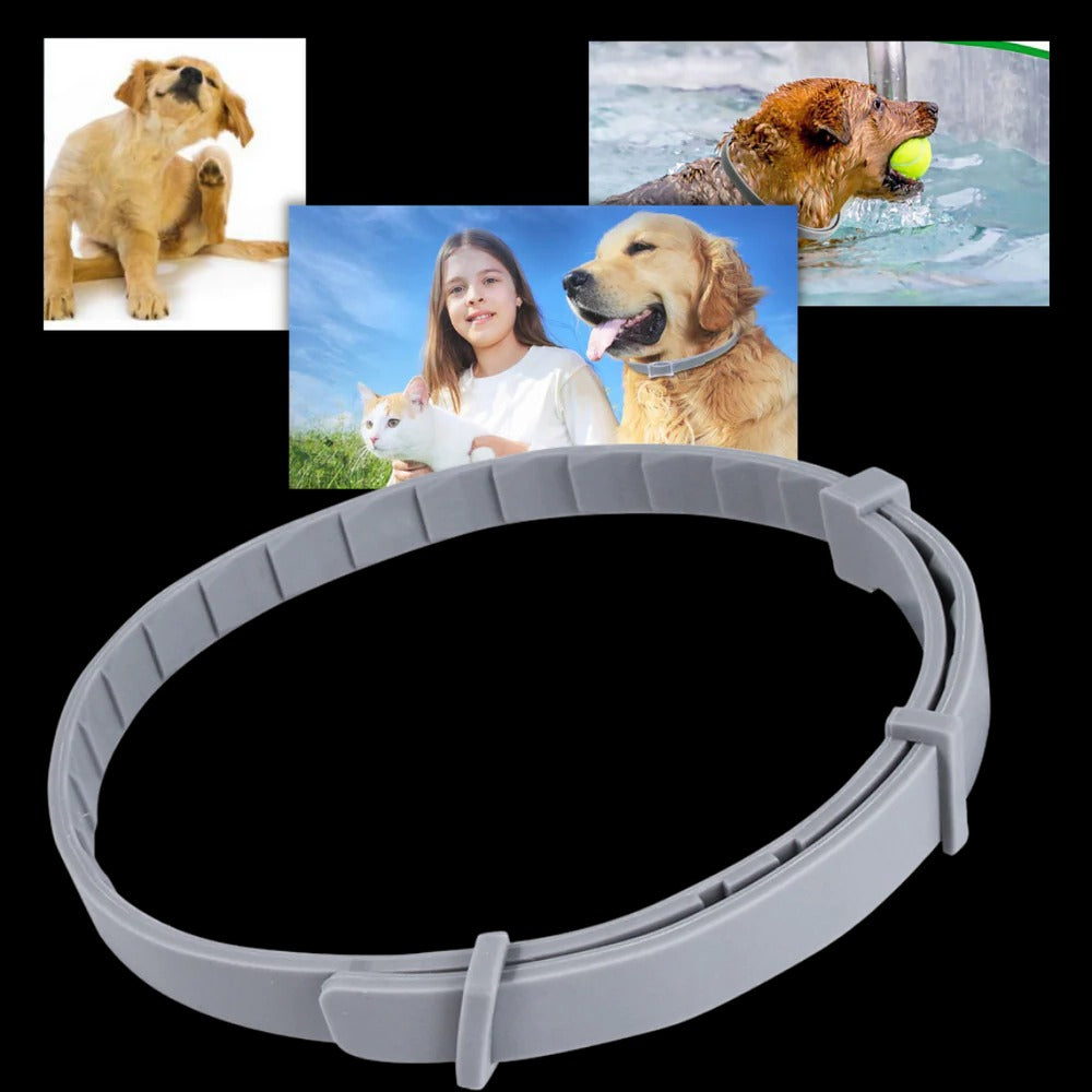 Long-Lasting Parasite Repellent Collar for Dogs & Cats