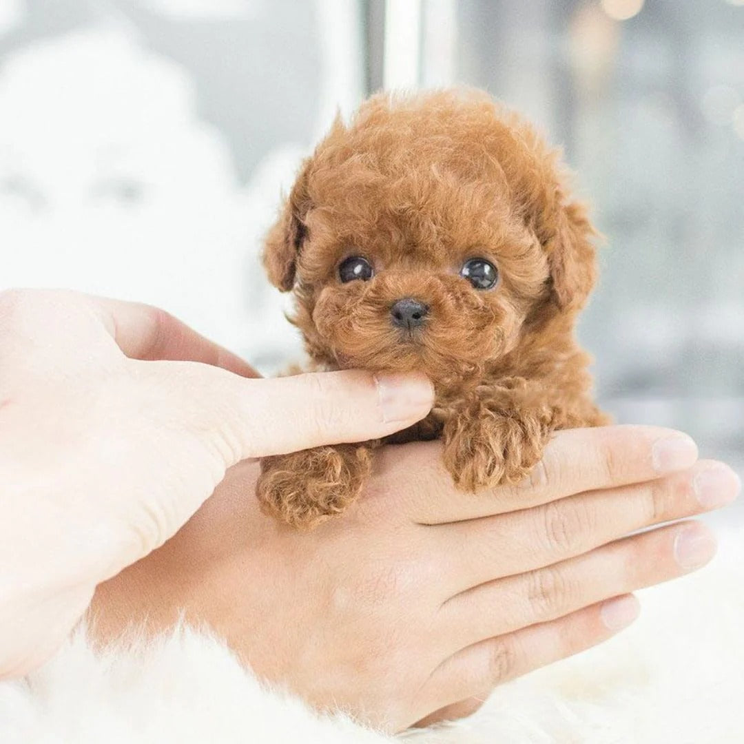 Lifelike Interactive Robotic Puppy Toy