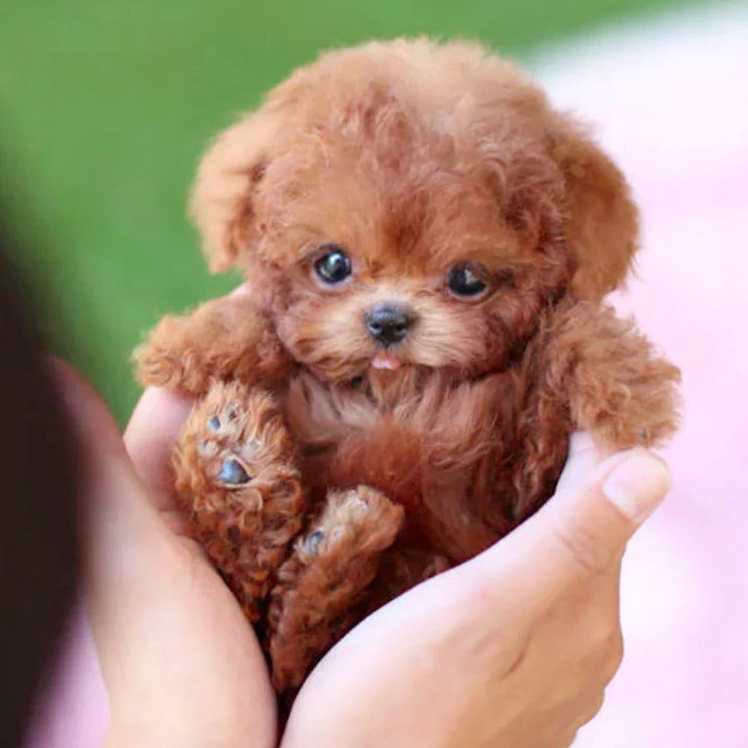 Lifelike Interactive Robotic Puppy Toy