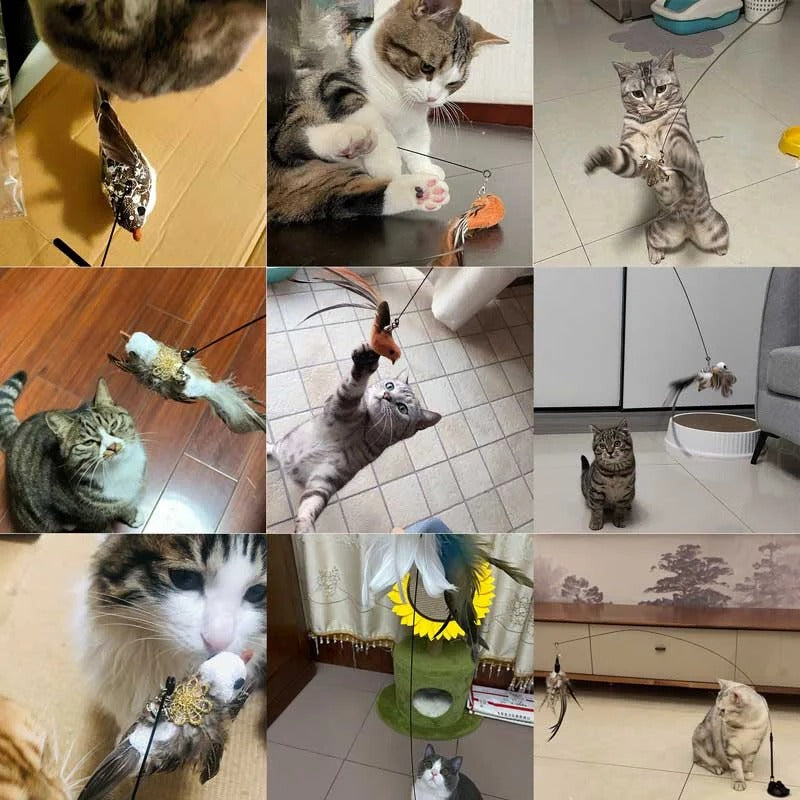 Interactive Bird Simulation Toy Set for Cats
