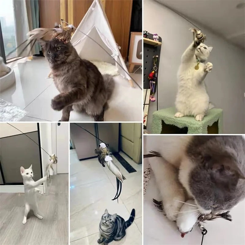 Interactive Bird Simulation Toy Set for Cats