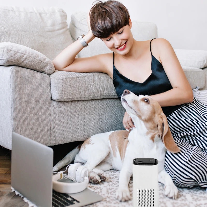 Portable USB Pet Air Purifier for Odor Control