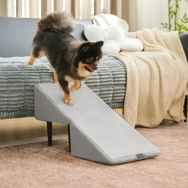 2-in-1 Convertible Dog Ramp and Ottoman