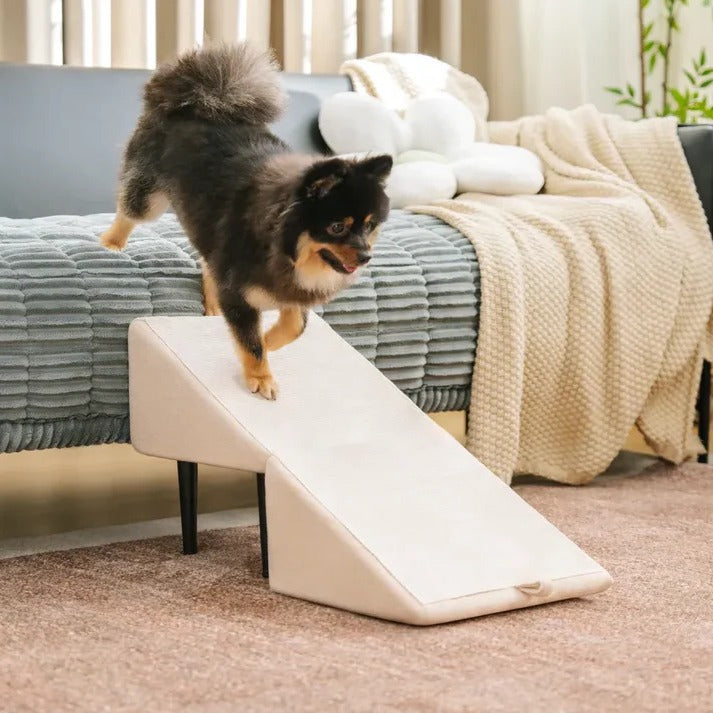 2-in-1 Convertible Dog Ramp and Ottoman