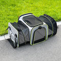 Foldable Pet Carrier Bag for Small Pets