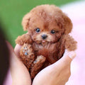 Robot Puppy Interactive Toy for Kids