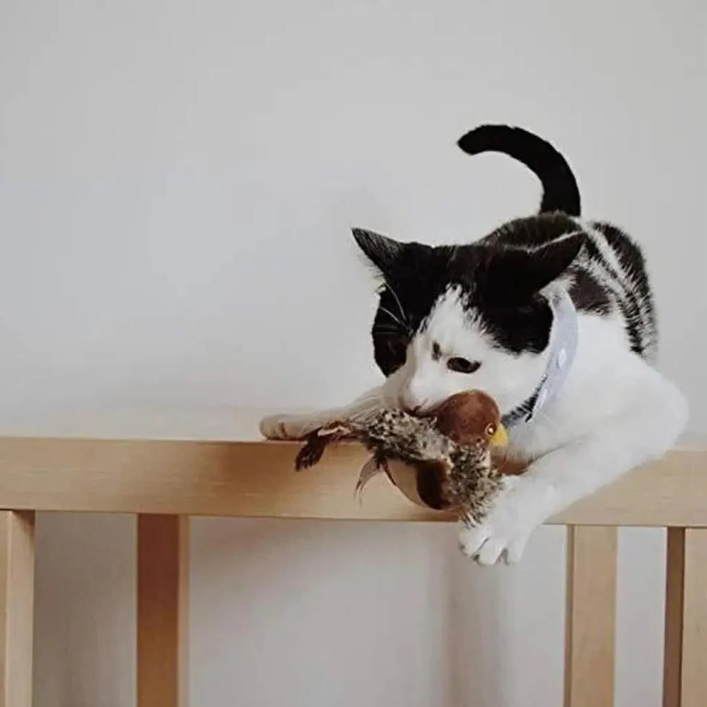 Interactive Flapping Feather Bird Toy for Indoor Cats