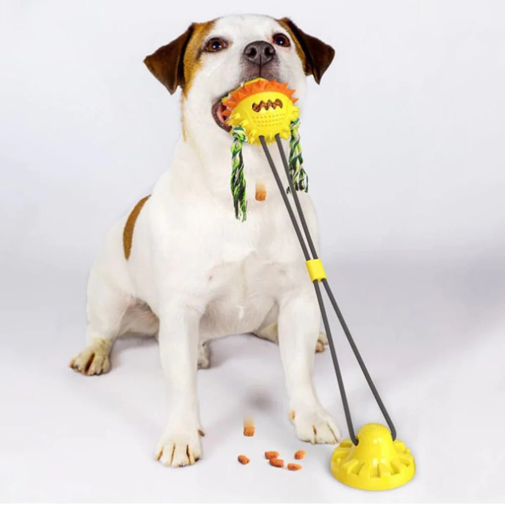 Interactive Self-Rolling Chew Toy for Pets