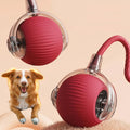 Motion Rolling Ball Chase Toy With Tail for Dogs