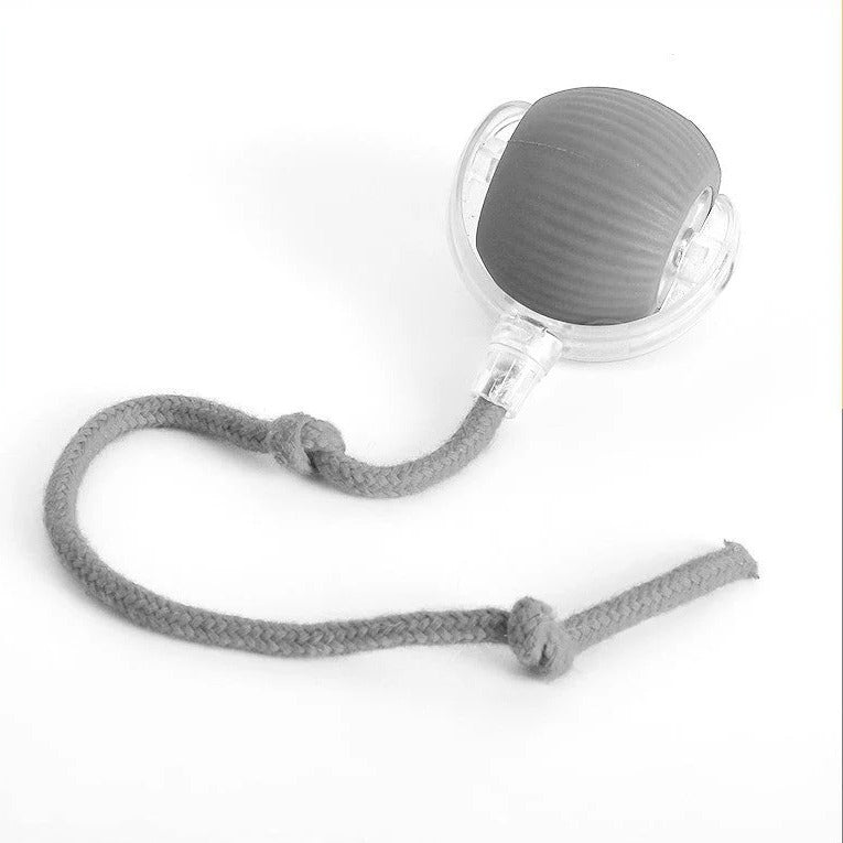 Motion Rolling Ball Chase Toy With Tail for Dogs