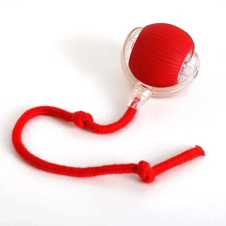 Motion Rolling Ball Chase Toy With Tail for Dogs