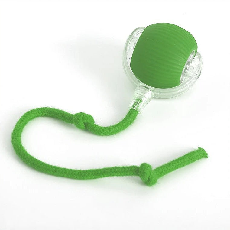 Motion Rolling Ball Chase Toy With Tail for Dogs