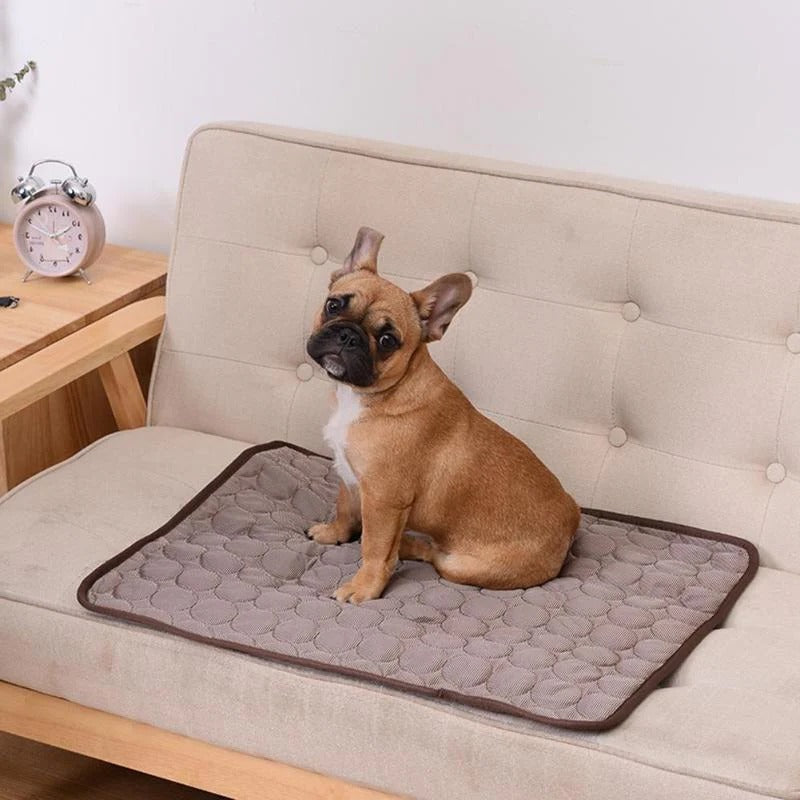 Contact-Activated Cooling Pad for Pets