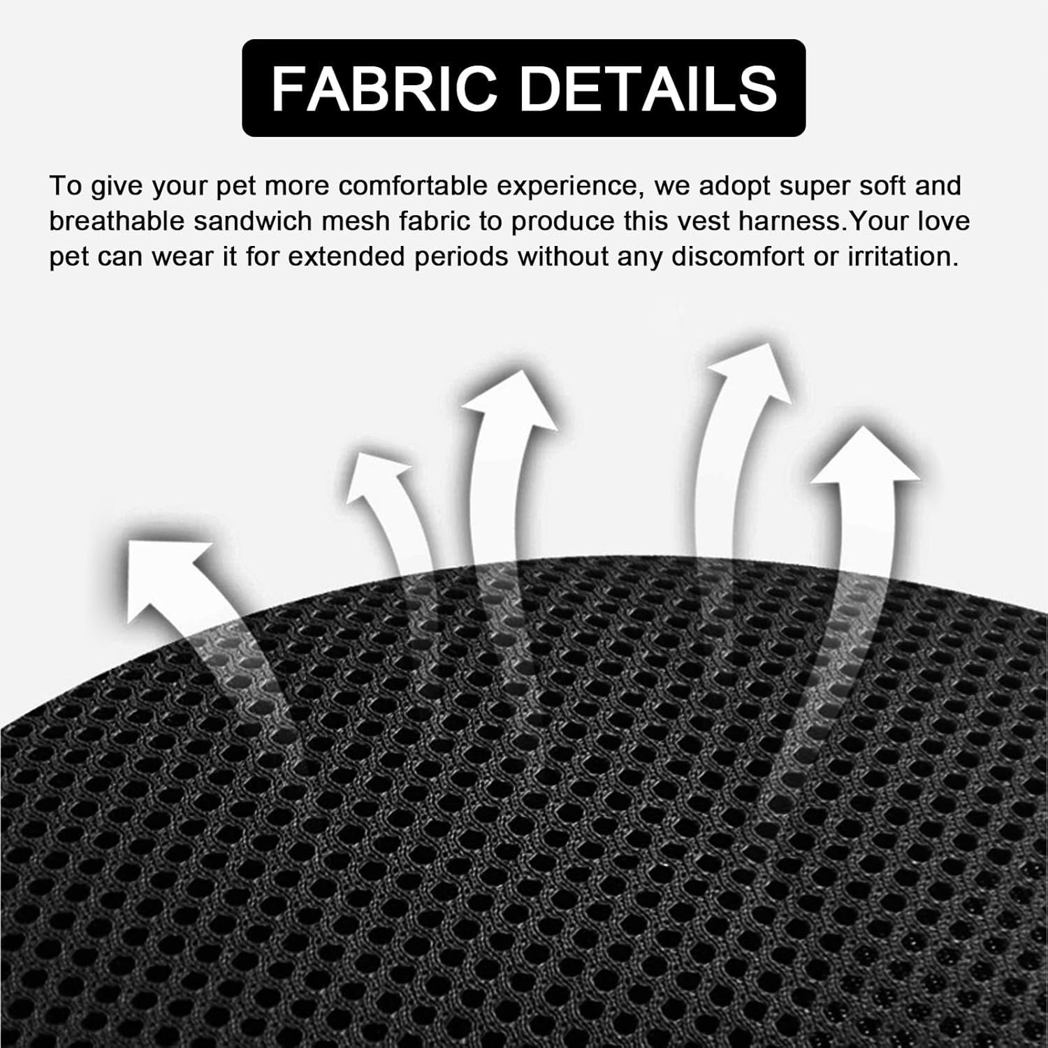 360° Reflective Cat Harness and Leash Set