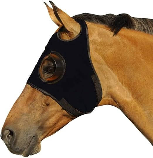 Quarter-Cup Blinders for Horses