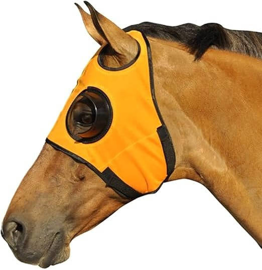 Quarter-Cup Blinders for Horses