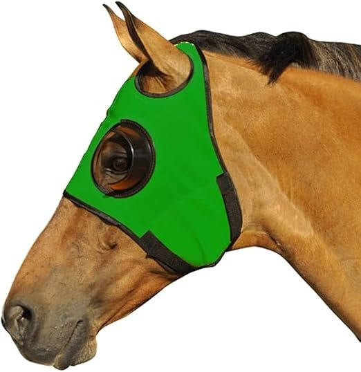 Quarter-Cup Blinders for Horses