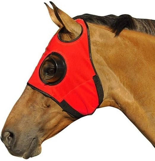 Quarter-Cup Blinders for Horses