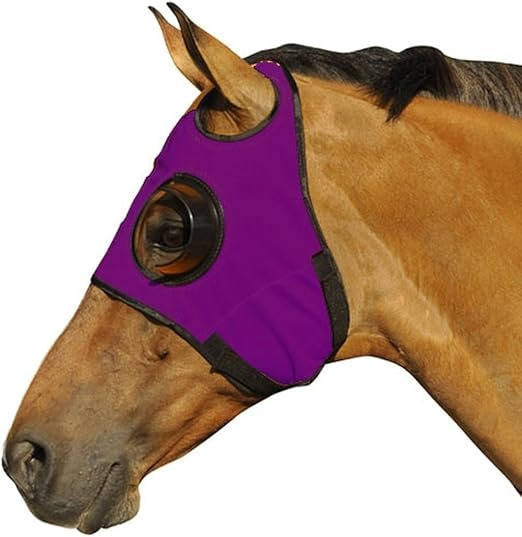Quarter-Cup Blinders for Horses