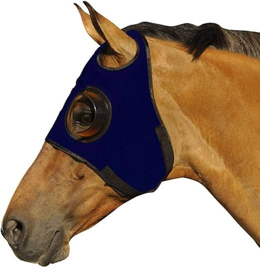 Quarter-Cup Blinders for Horses
