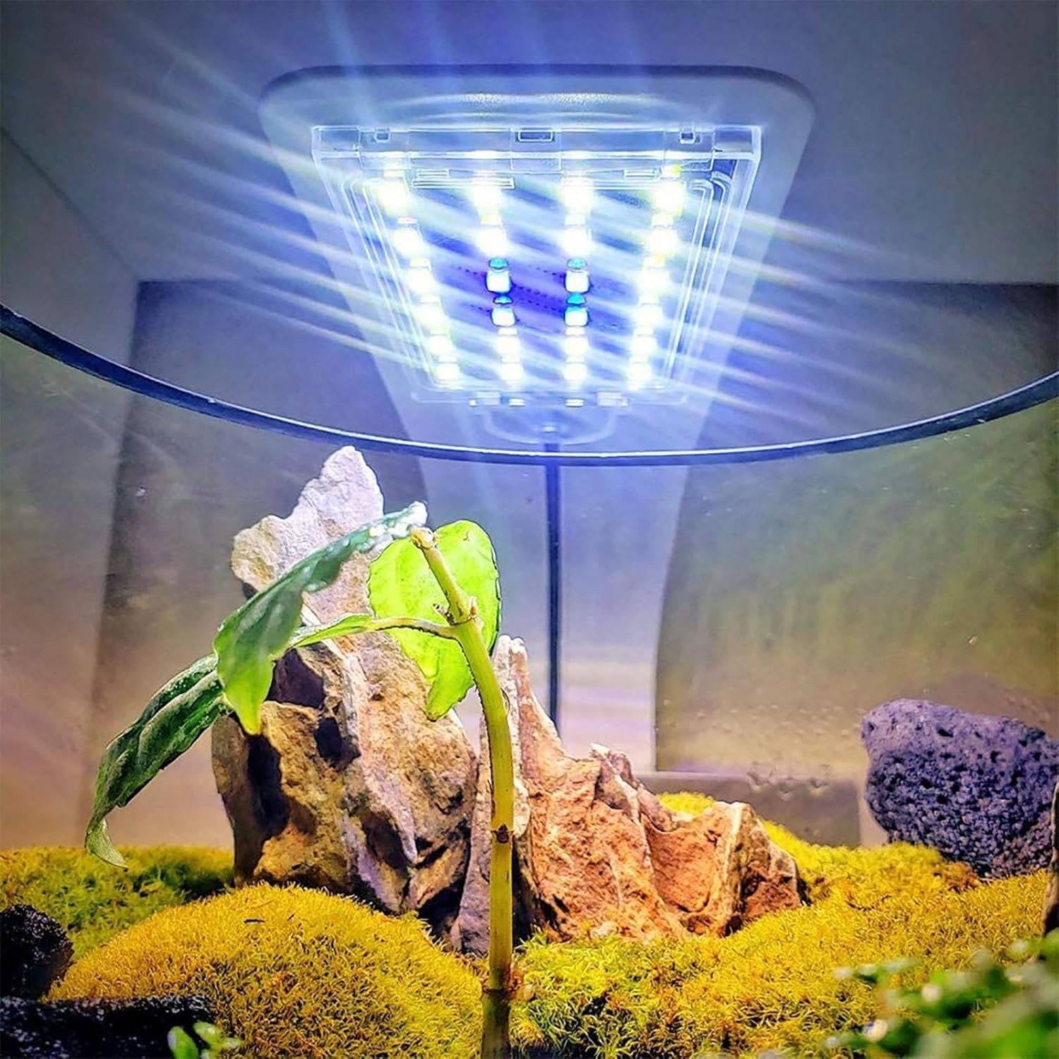 Super Slim LED Fish Tank Light for Aquariums and Aquatic Plants