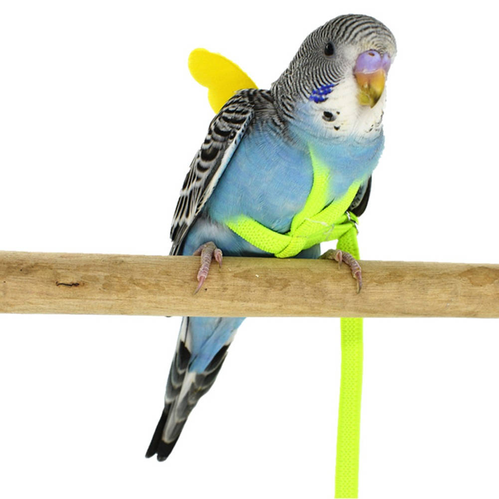 Adjustable Parrot Harness with Leash