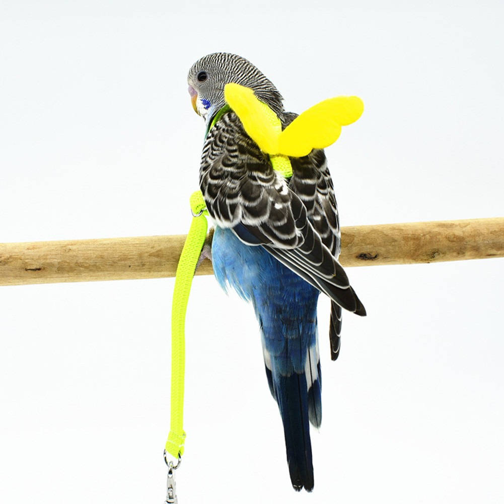 Adjustable Parrot Harness with Leash