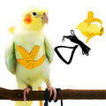 Adjustable Parrot Harness with Leash