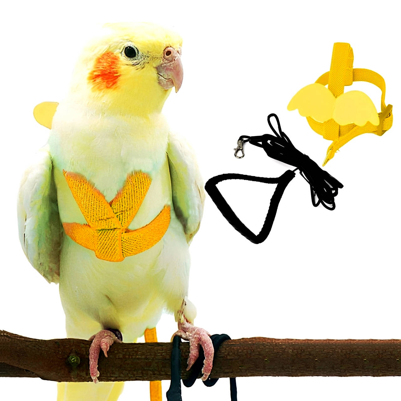 Adjustable Parrot Harness with Leash