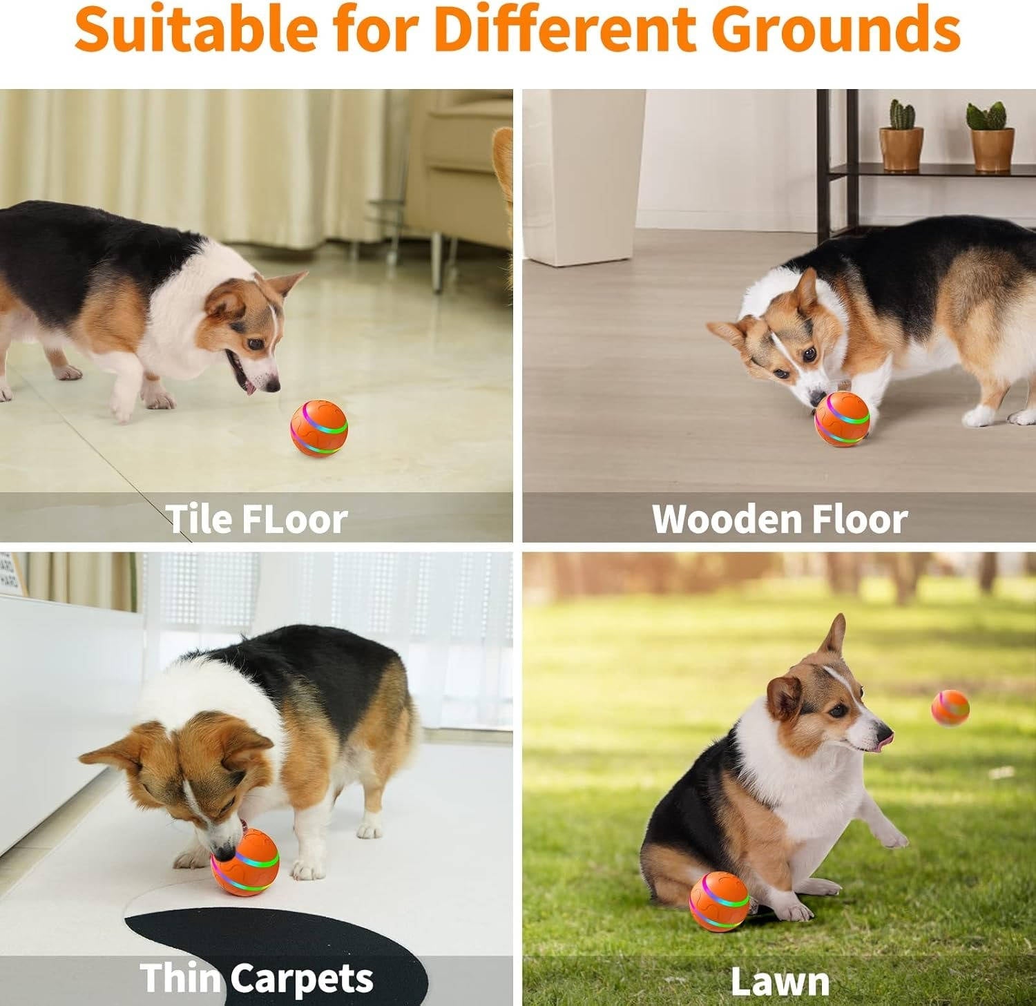 Remote Control Interactive Dog Ball Toy with LED Lights