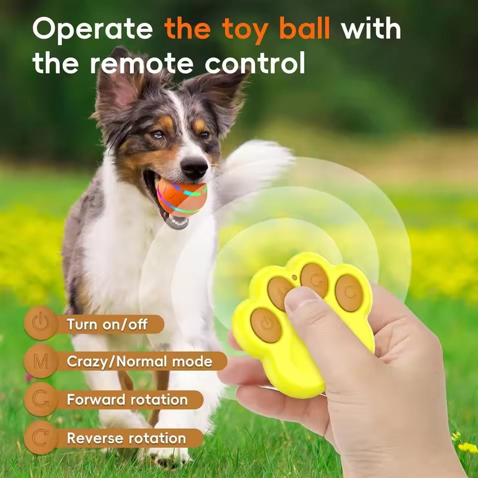 Remote Control Interactive Dog Ball Toy with LED Lights