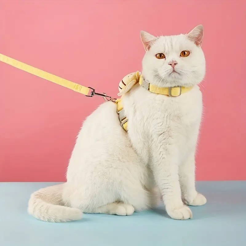 Escape-Proof Cat Vest Harness and Collar Set