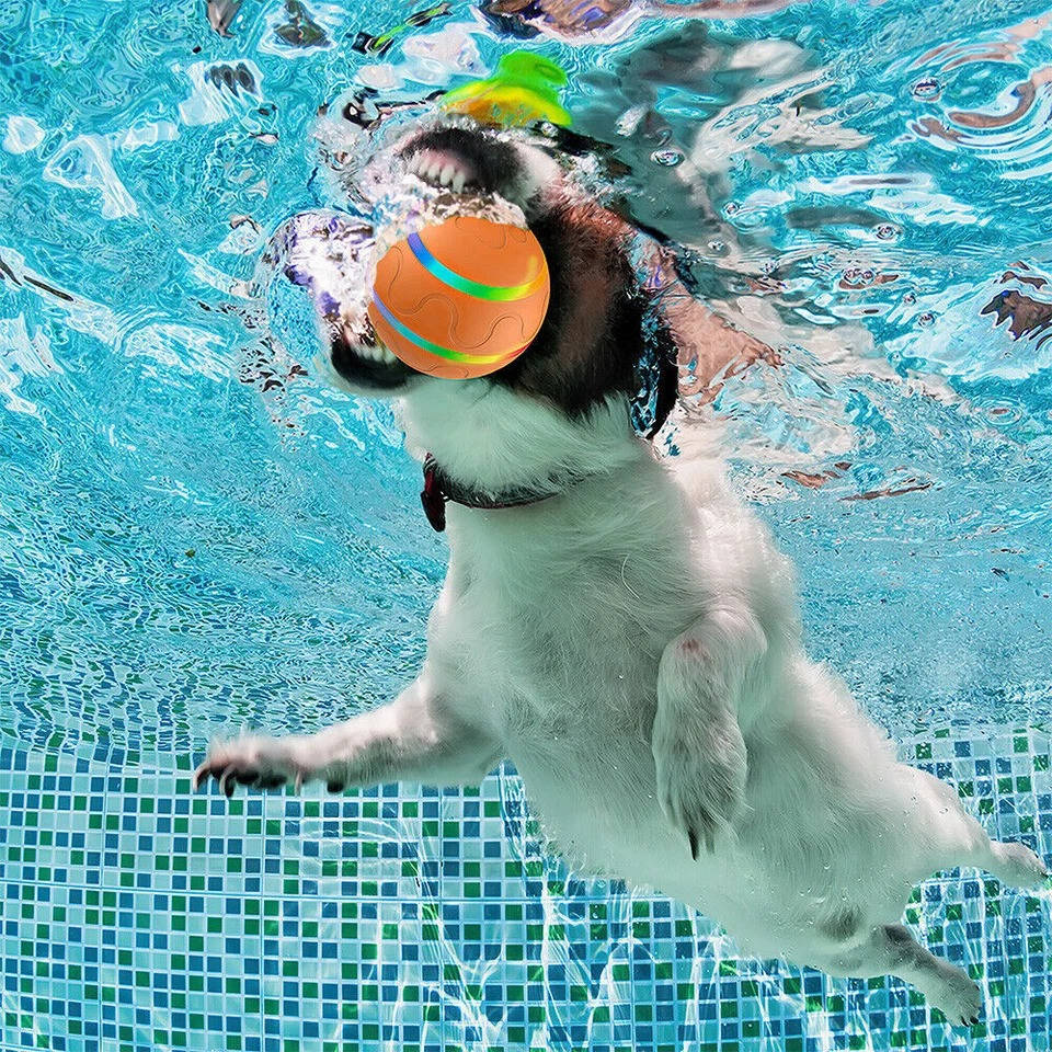 Remote Control Interactive Dog Ball Toy with LED Lights