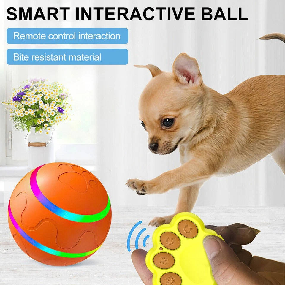 Remote Control Interactive Dog Ball Toy with LED Lights