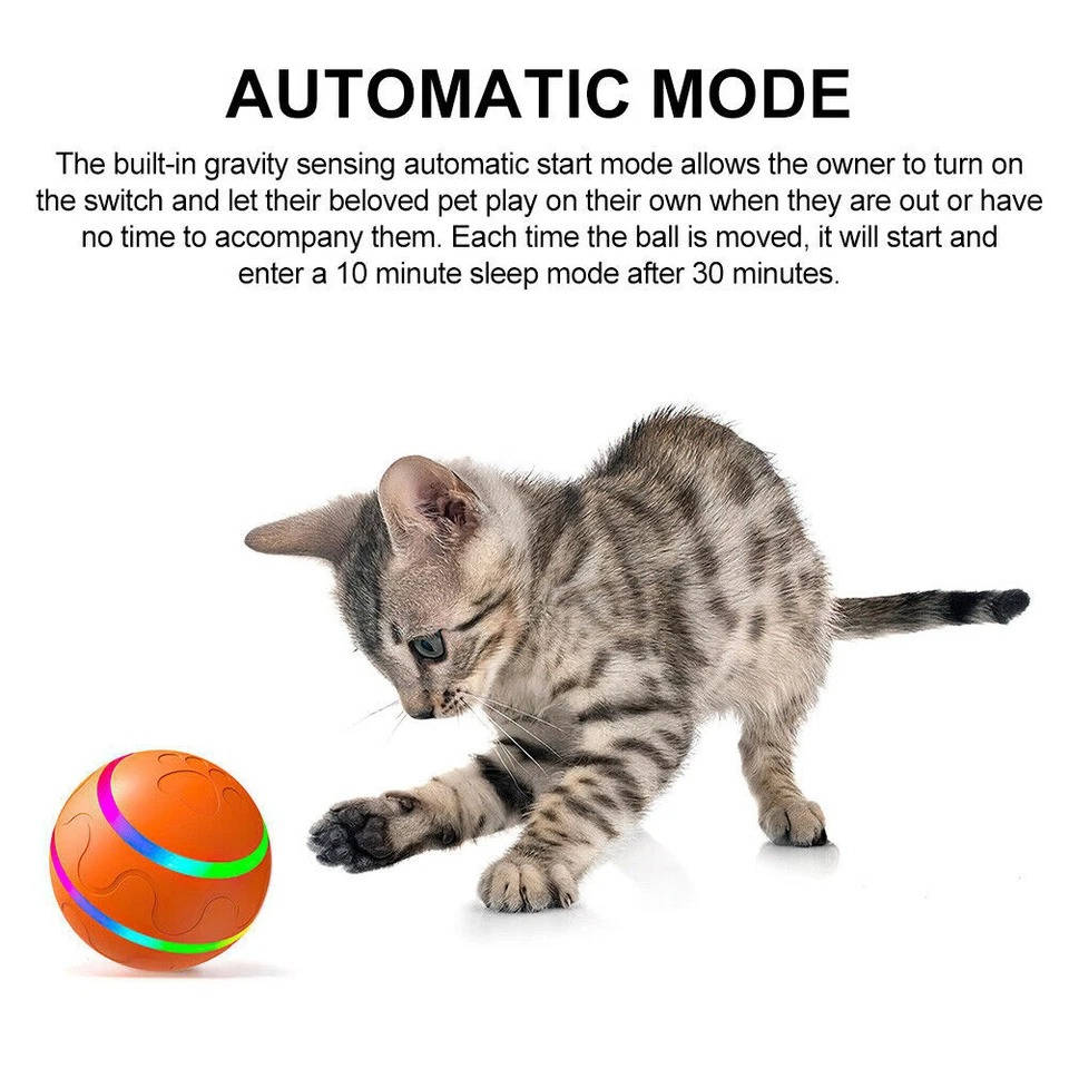 Remote Control Interactive Dog Ball Toy with LED Lights