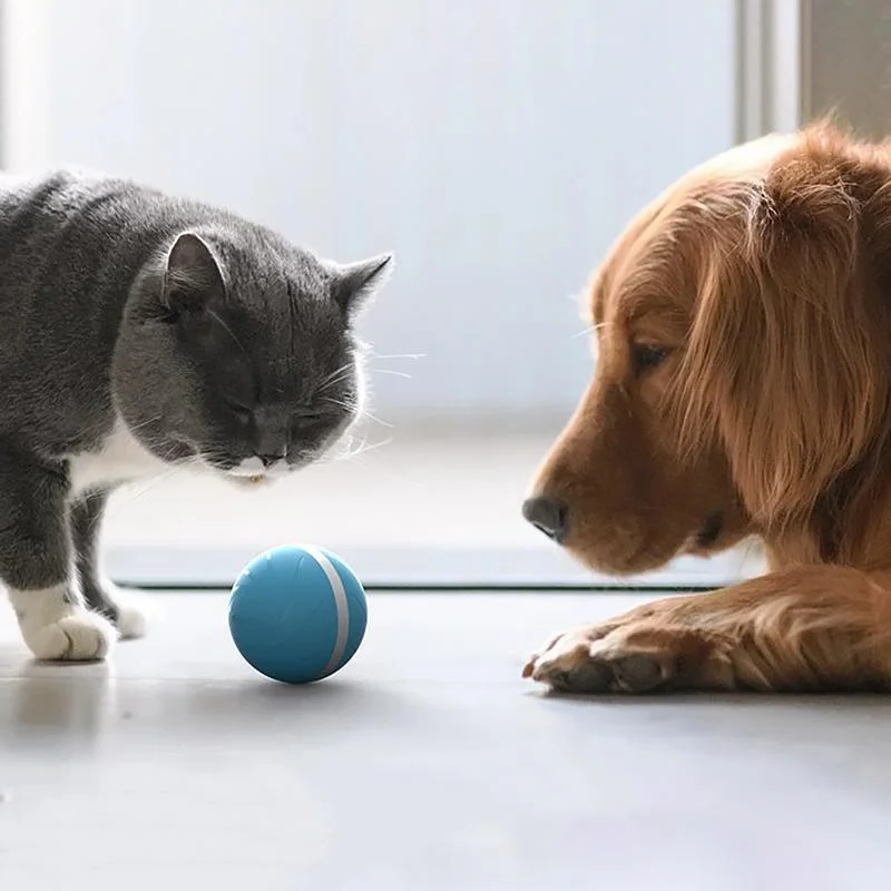 Interactive Motion Ball Toy for Cats & Dogs