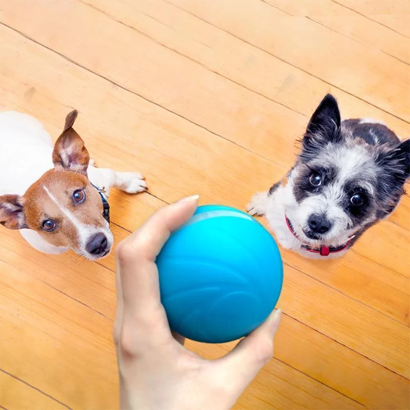 Interactive Motion Ball Toy for Cats & Dogs
